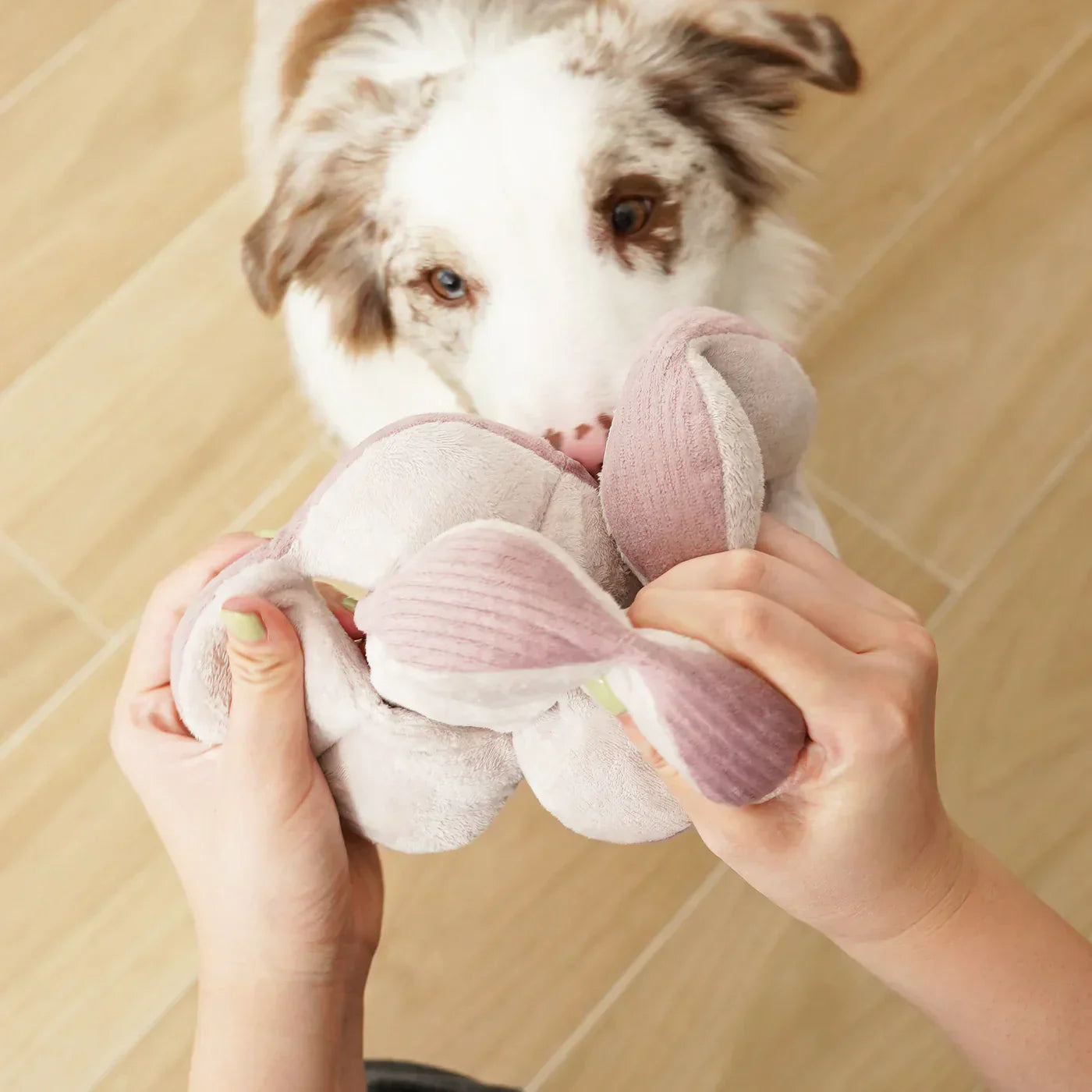 MONTI silent snuffle ball