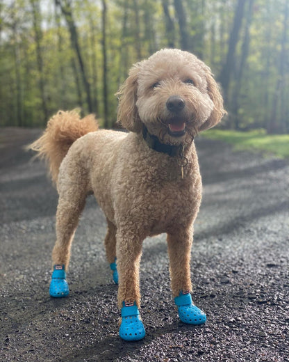 Dog Boots - WagWellies™ Mojave (1 pair of 2)