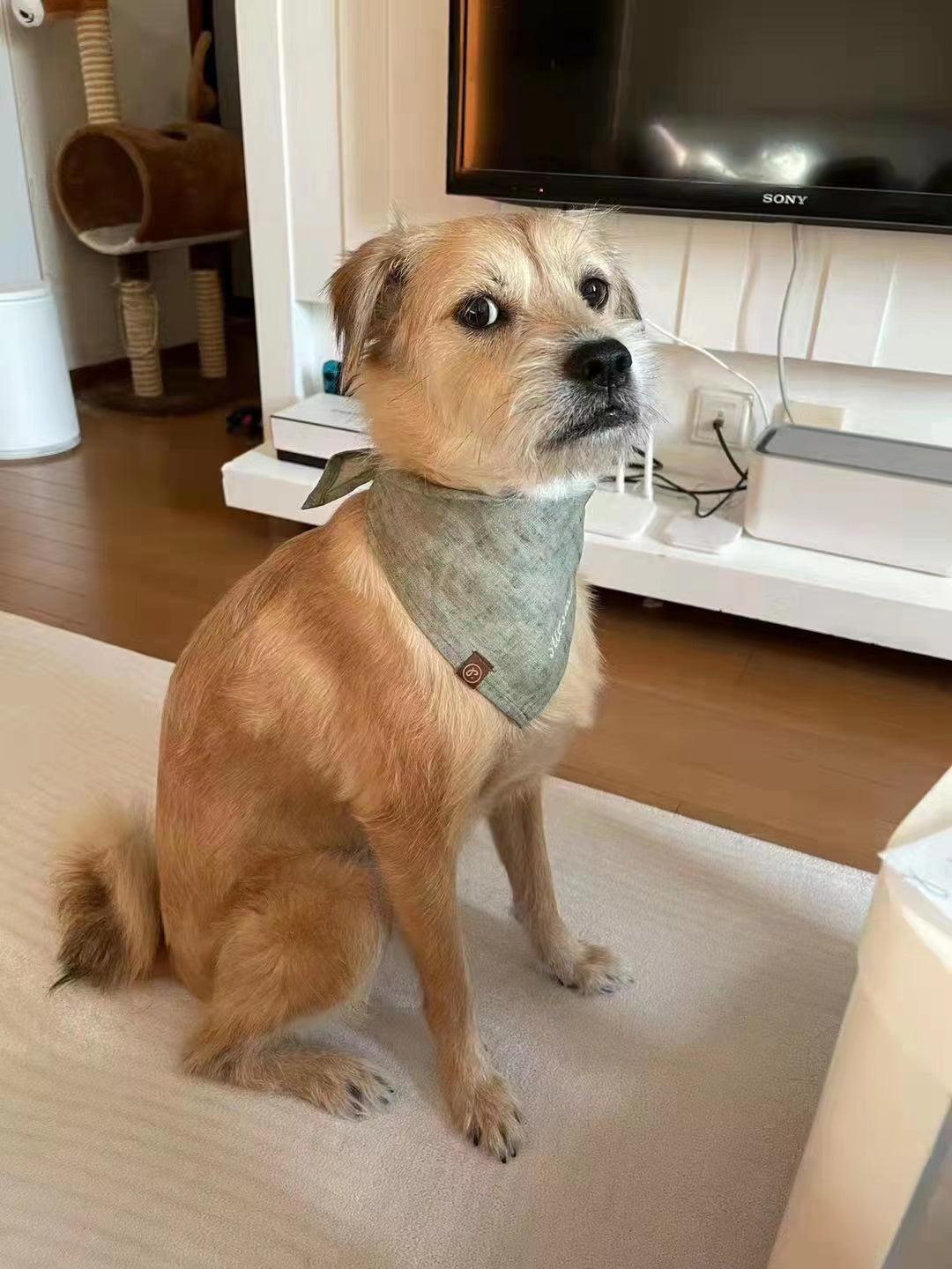 Personalized Pet Bandana - Linen
