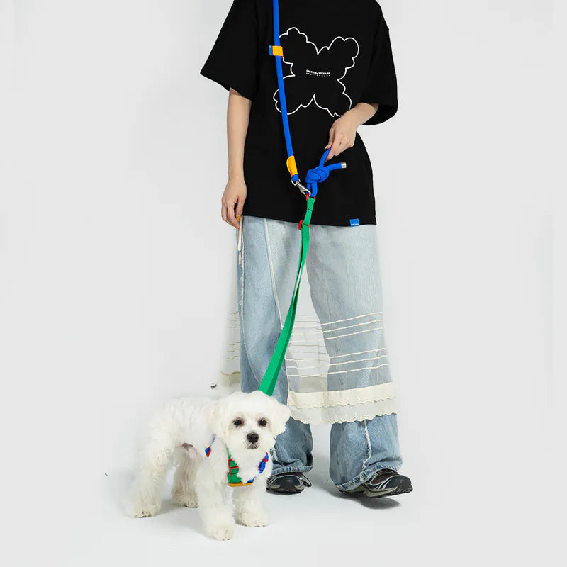 10TH YEAR - Leash