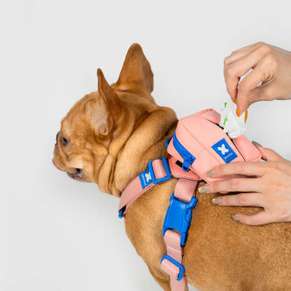 10TH YEAR - Clean bag Mini