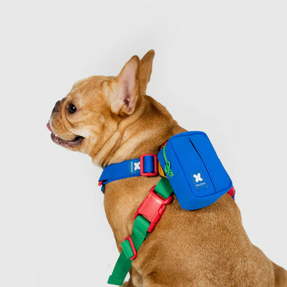 10TH YEAR - Clean bag Mini