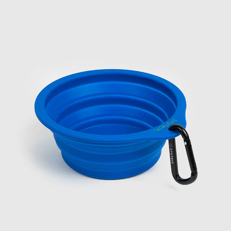 10TH YEAR - Collapsible Bowl
