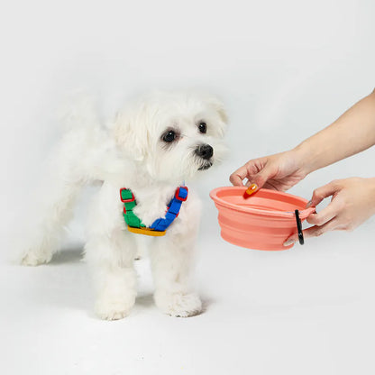 10TH YEAR - Collapsible Bowl