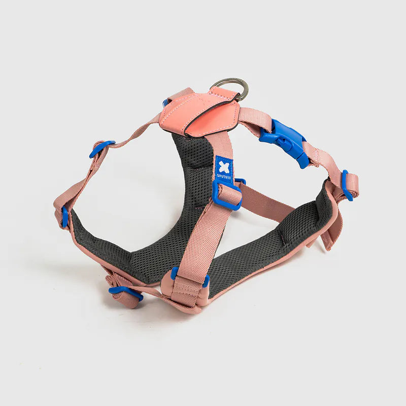 10TH YEAR_Harness