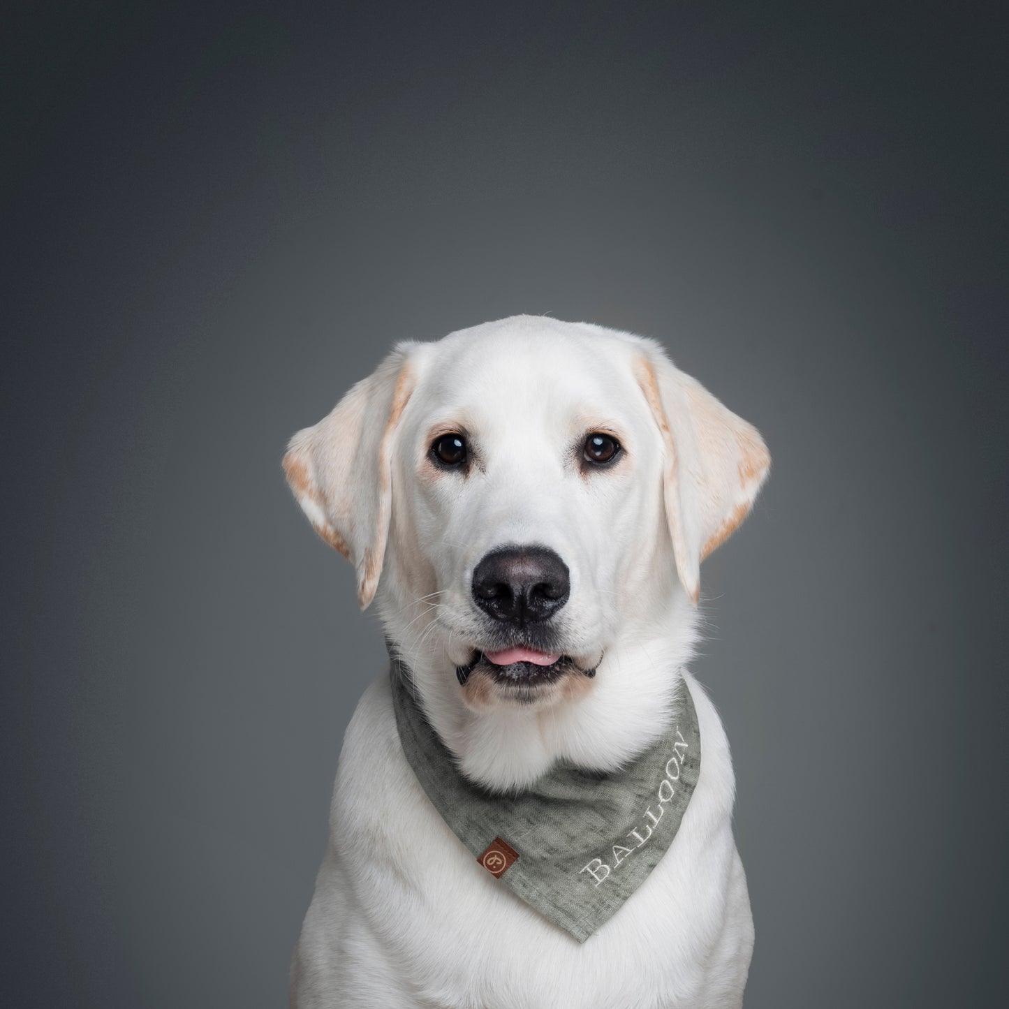 Personalized Pet Bandana - Linen