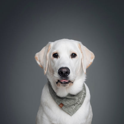 Personalized Pet Bandana - Linen