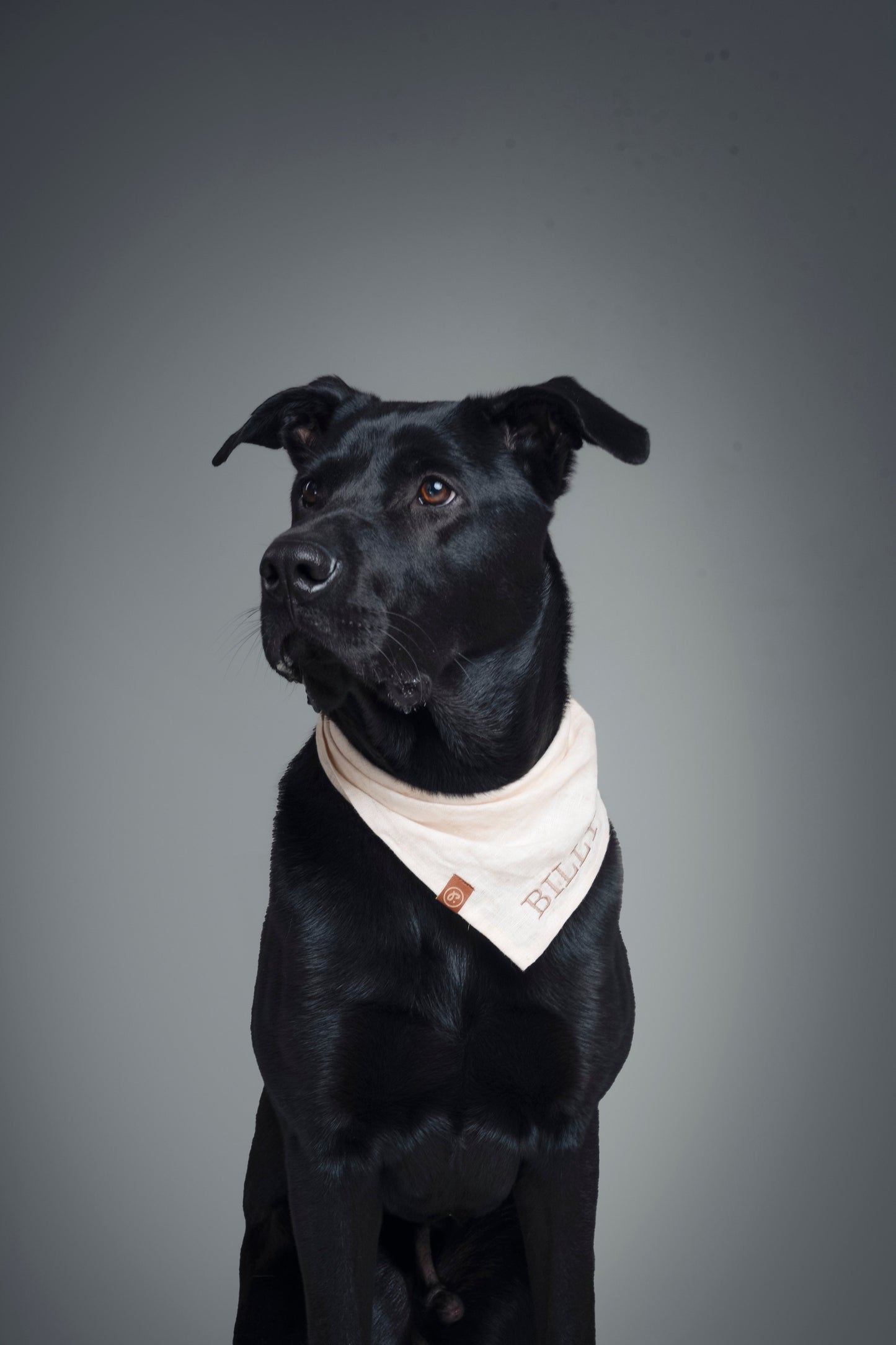 Personalized Pet Bandana - Linen