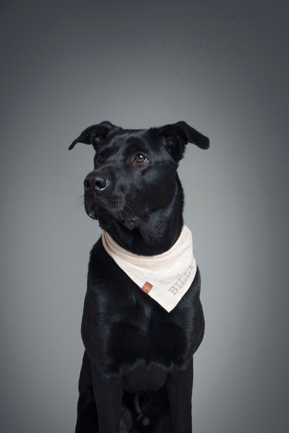 Personalized Pet Bandana - Linen