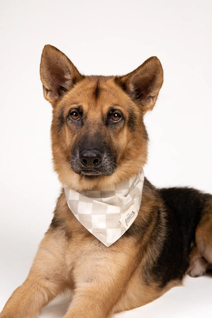 Dog Bandana - Checkers