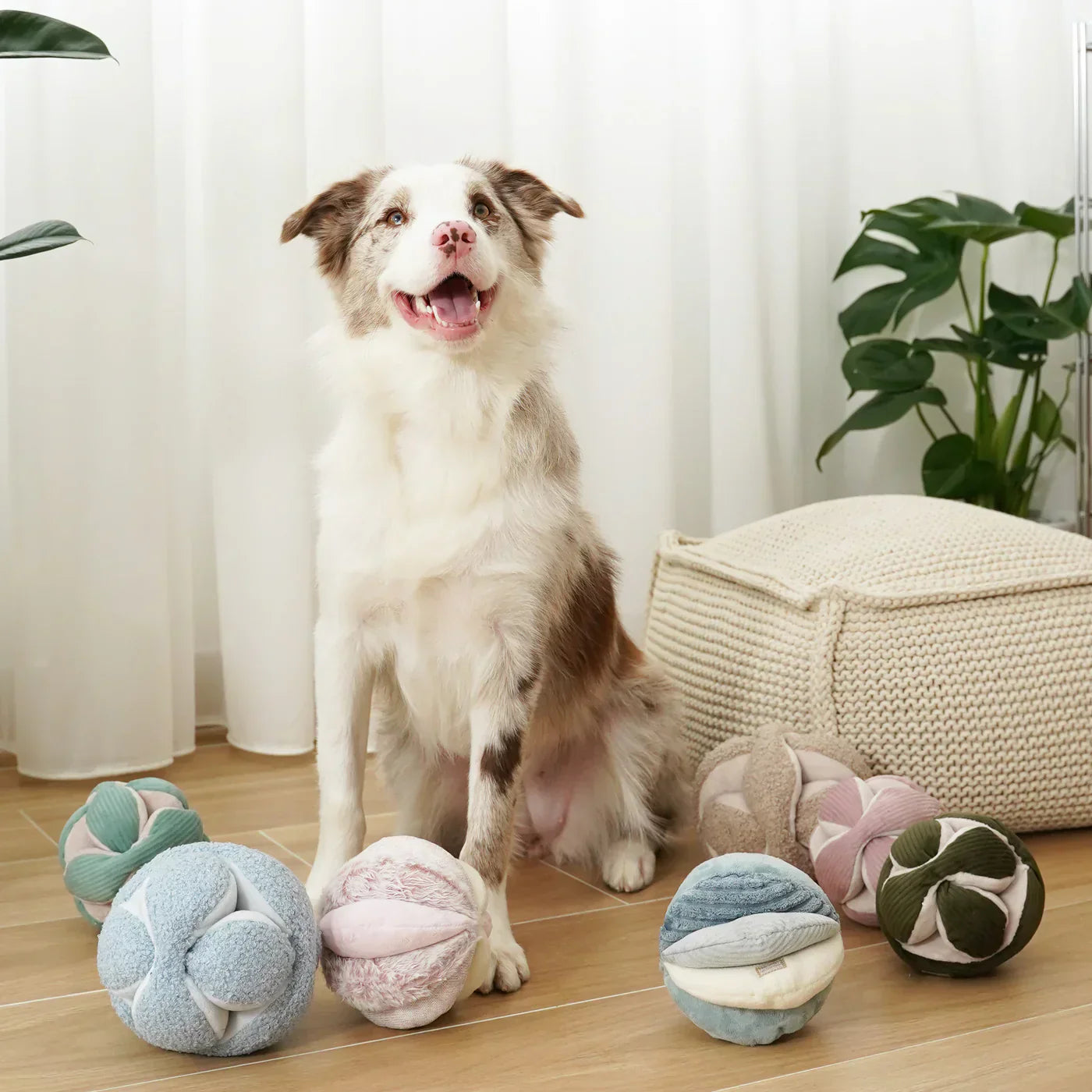 MONTI silent snuffle ball