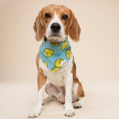 Dog Bandana - Fetch Dog