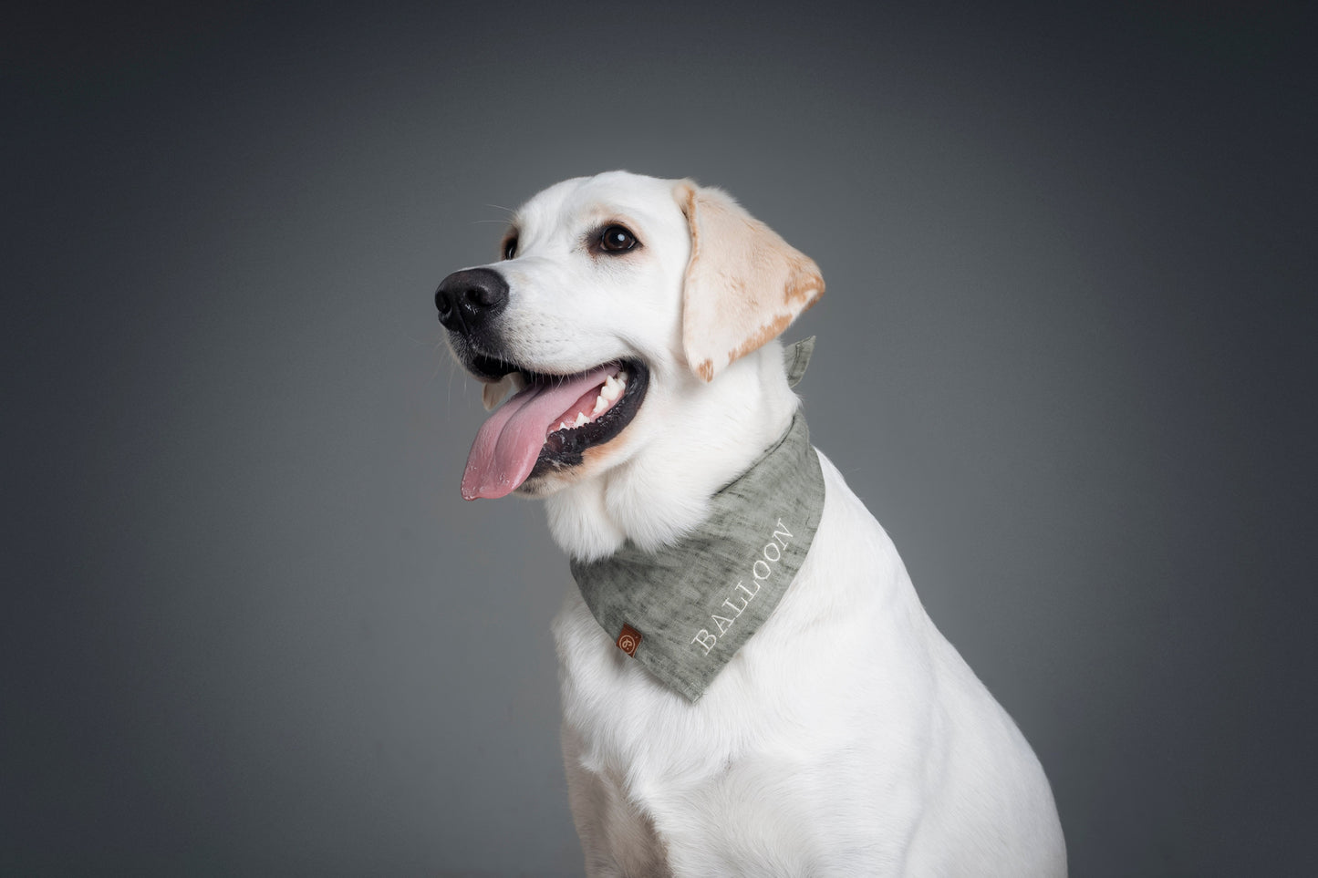 Personalized Pet Bandana - Linen