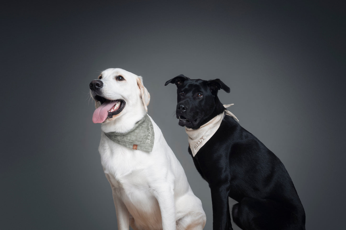 Personalized Pet Bandana - Linen