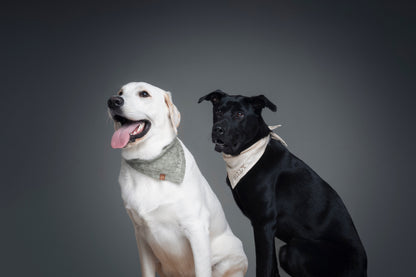 Personalized Pet Bandana - Linen