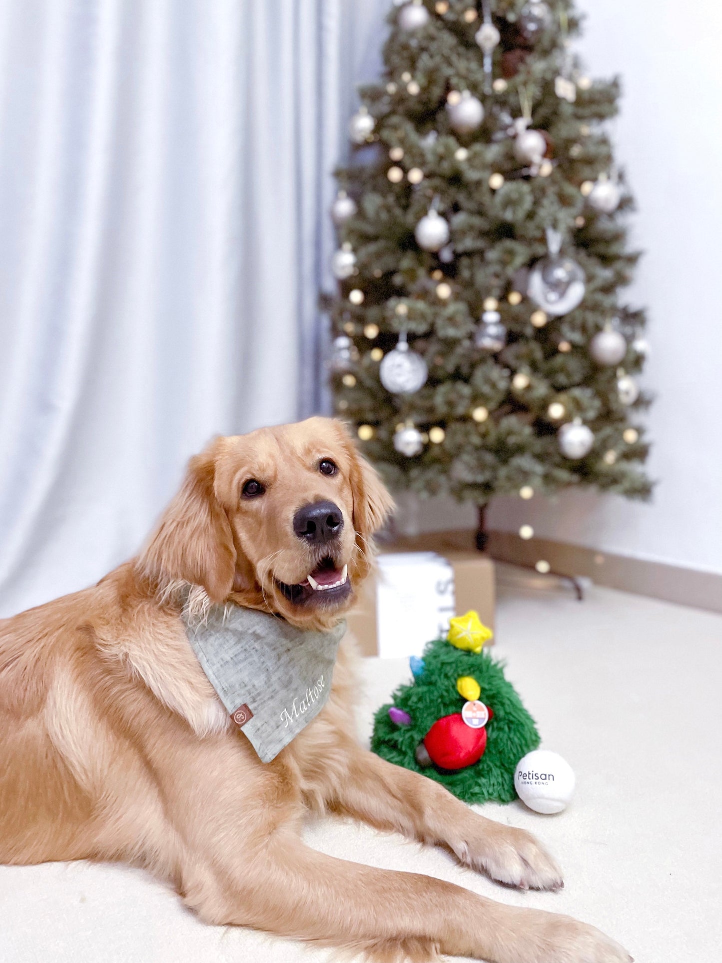 Personalized Pet Bandana - Linen