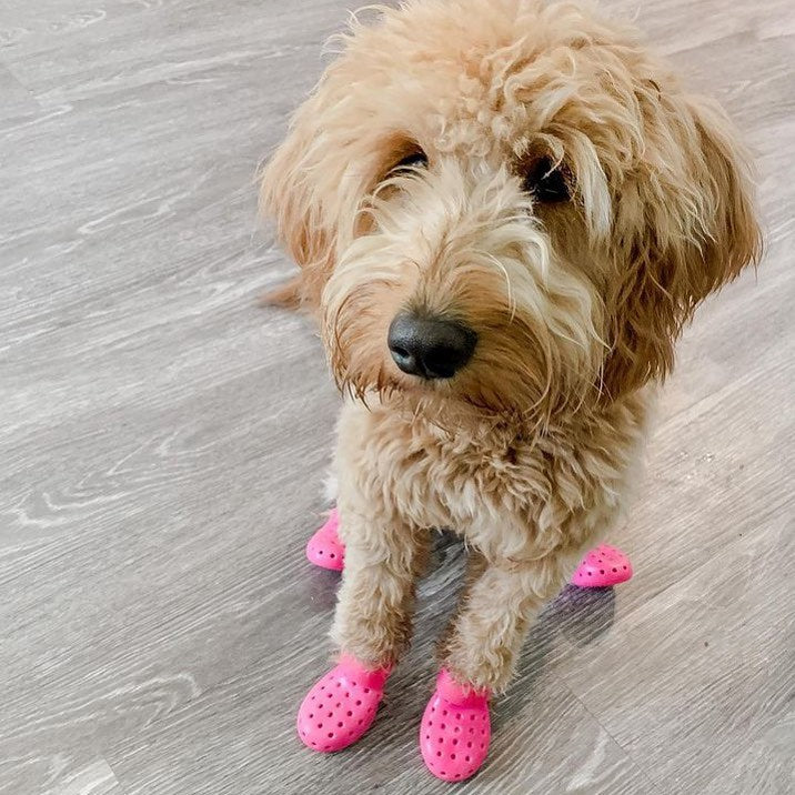 Dog Boots - WagWellies™ Mojave (1 pair of 2)