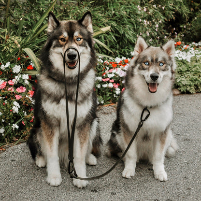 MELLEM X narrow - all weather convertible leash