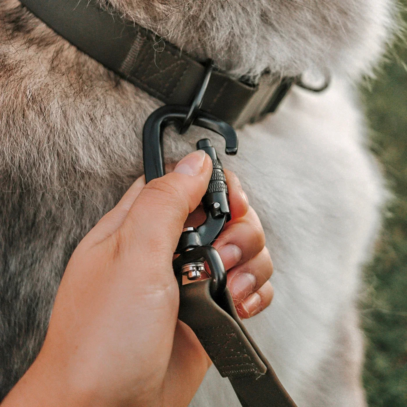 MELLEM X narrow - all weather convertible leash