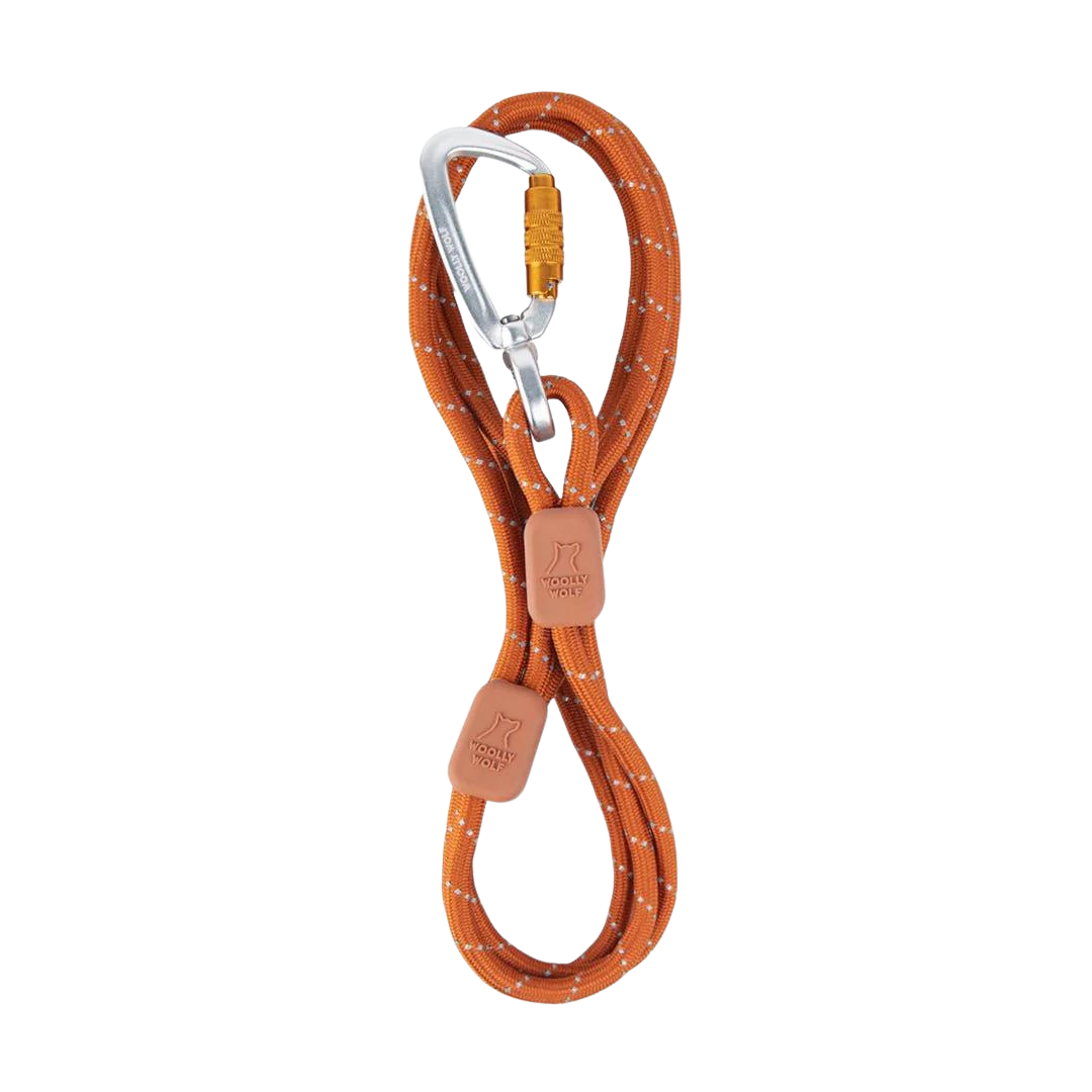 Rope Leash Terracotta